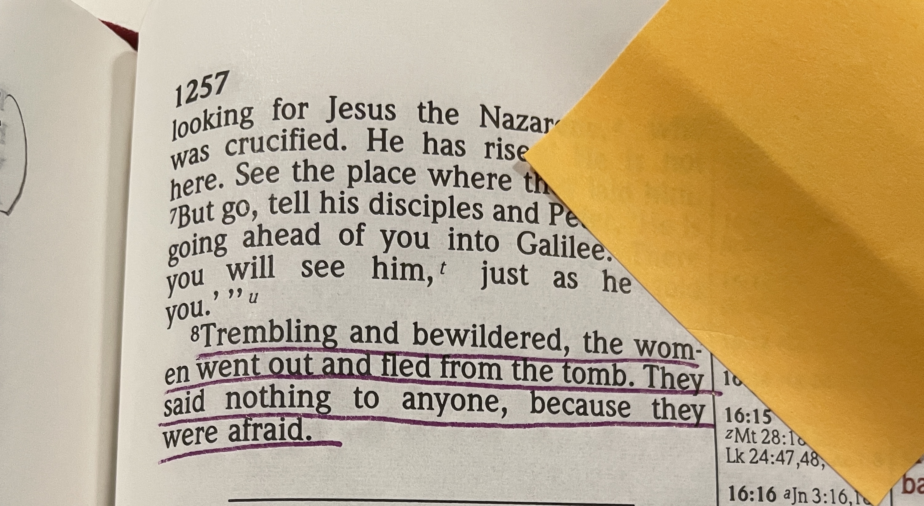 Week 3: She Said Nothing