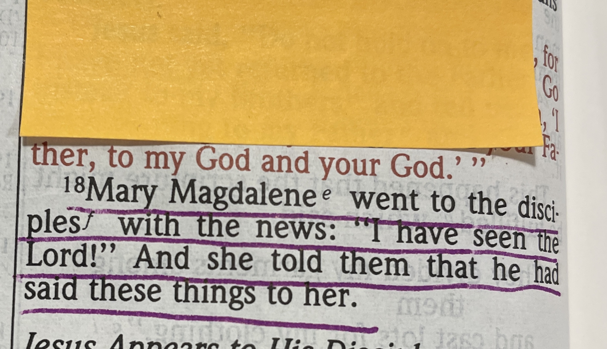 Week 5: She Saw Jesus